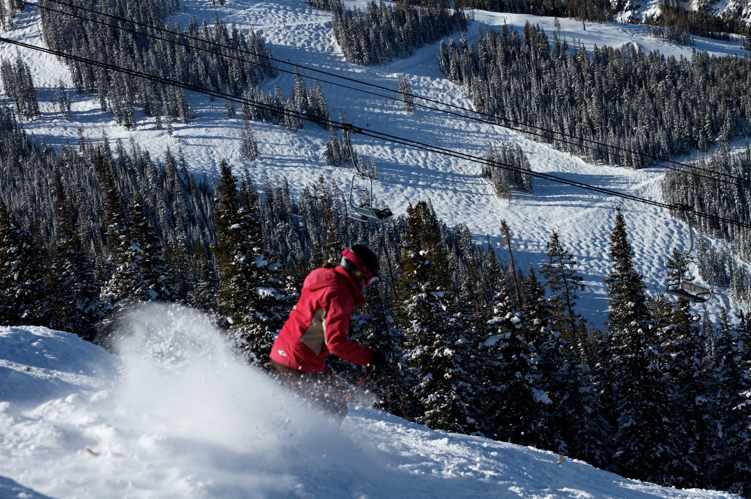 Learning to Ski Moguls | Mogul Skier